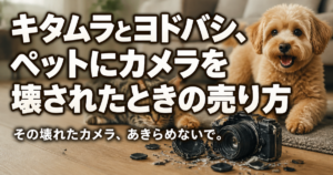 キタムラとヨドバシ、ペットにカメラを壊されたときの売り方
